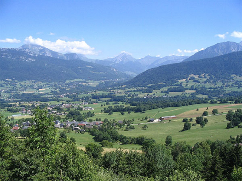 Contacter les Forestivités
